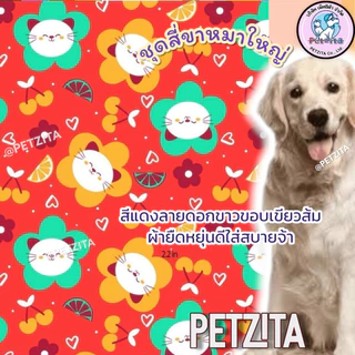 🇹🇭พร้อมส่ง🇹🇭 🐕 ลายใหม่ (ลิ้งค์ที่6) BIG SIZE ชุดสี่ขา ชุดกันขนร่วง สุนัขพันธุ์ใหญ่ หมาใหญ่ เสื้อหมา โกลเด้น ไซบีเรียน...