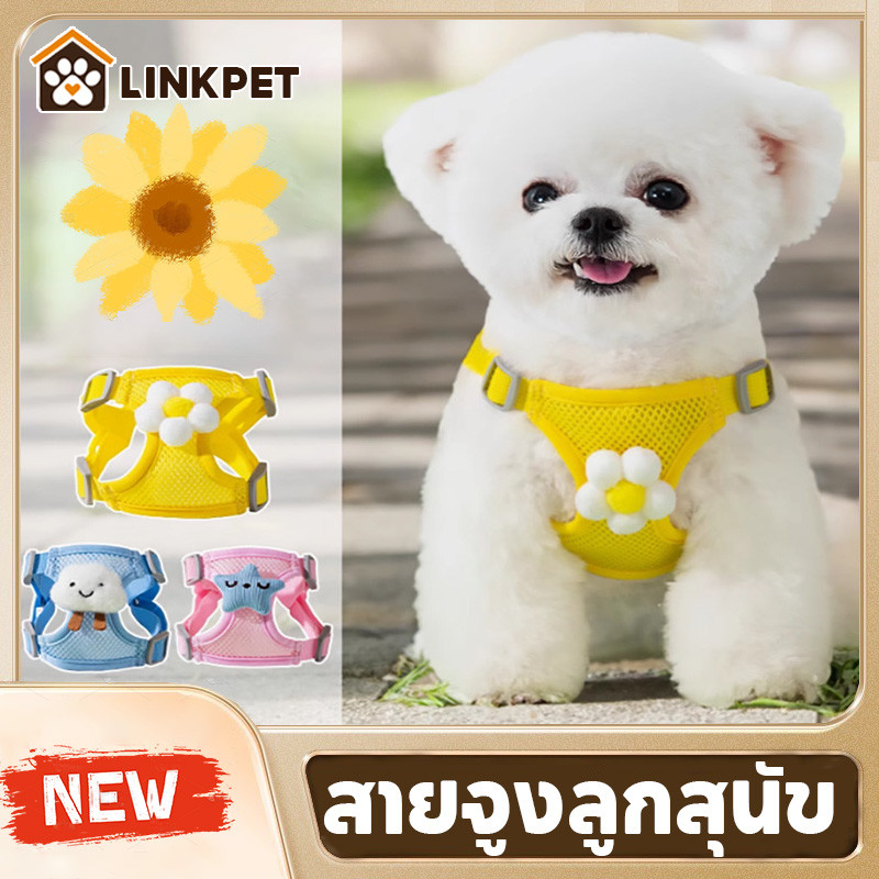 สายจูงลูกสุนัข ตาข่ายระบายอากาศได้ดี แมวและสุนัขถูกจูง สายจูงสุนัข เย็นในฤดูร้อน
