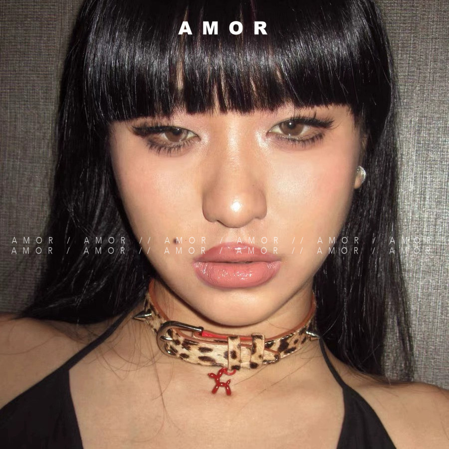 ปลอกคอลูกสุนัขลูกโป ่ งสีแดงพิมพ ์ ลายเสือดาว ปรับแต ่ งได ้ อเนกประสงค ์ โดย Choker