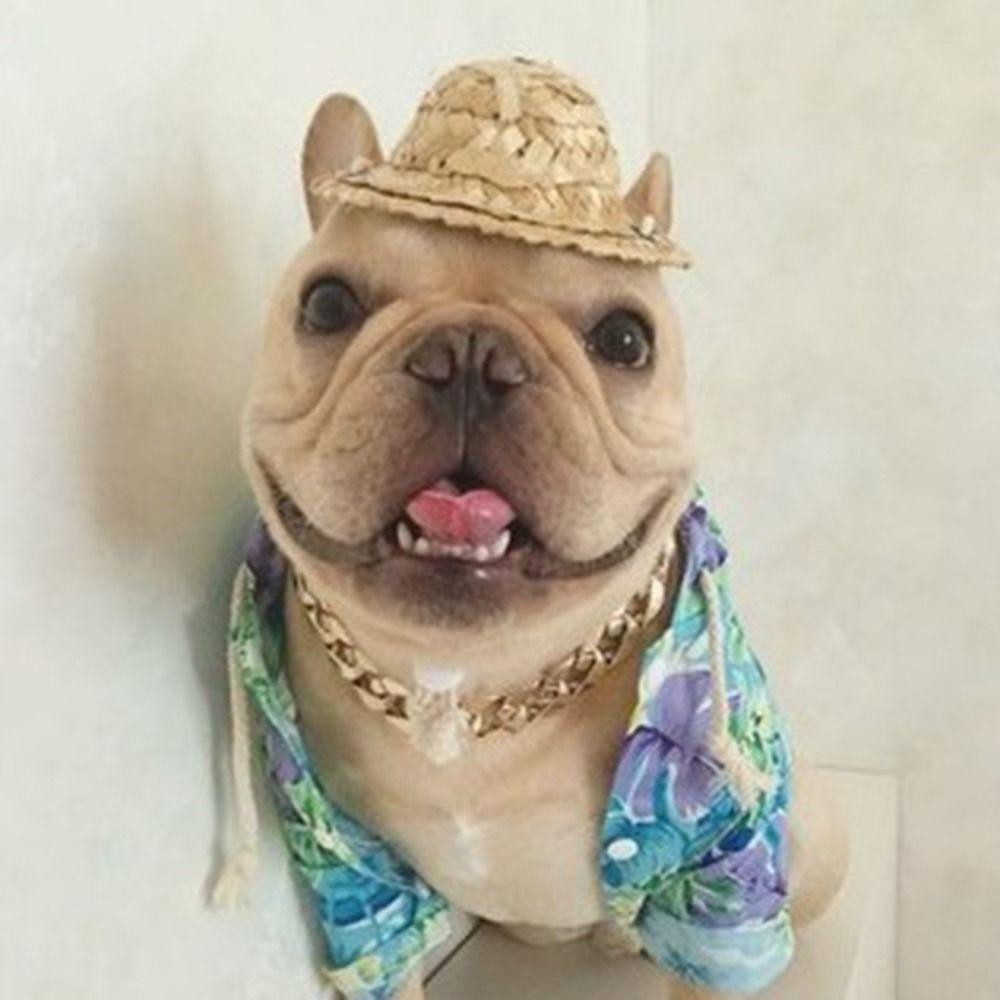 อันดา สร้อยคอสัตว์เลี้ยง,ปลอกคอโซ่แมวสุนัขสร้อยคอทองโซ่ปลอกคอสุนัข,แบบพกพาปรับอุปกรณ์เครื่องประดับสัตว์เลี้ยงแมวสุนัข - รูปที่ 7