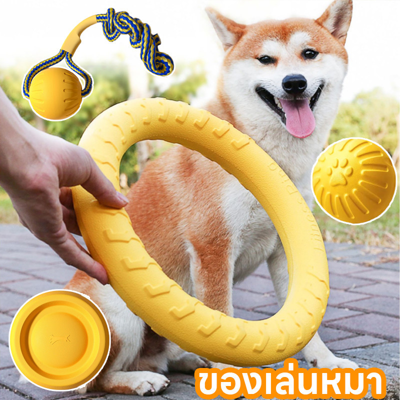 พร้อมส่ง🐶ของเล่นหมา จานร่อน ของเล่นลูกบอล แบบโต้ตอบ สําหรับฝึกสัตว์เลี้ยง สุนัข
