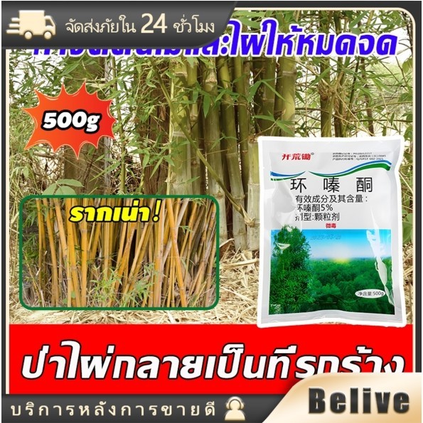 500g/1500g/2500g    ผลติดทนนาน สารกำจัดก่อไผ่    ไผ่ผงกำจัดต้นไผ่ยาฆ่าตอไม้   ผลติดทนนาน