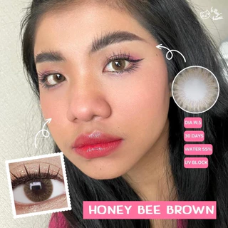 🔥คอนแทคเลนส์ ขนาดมินิ Honey bee Brown/Gray (kittykawaii)