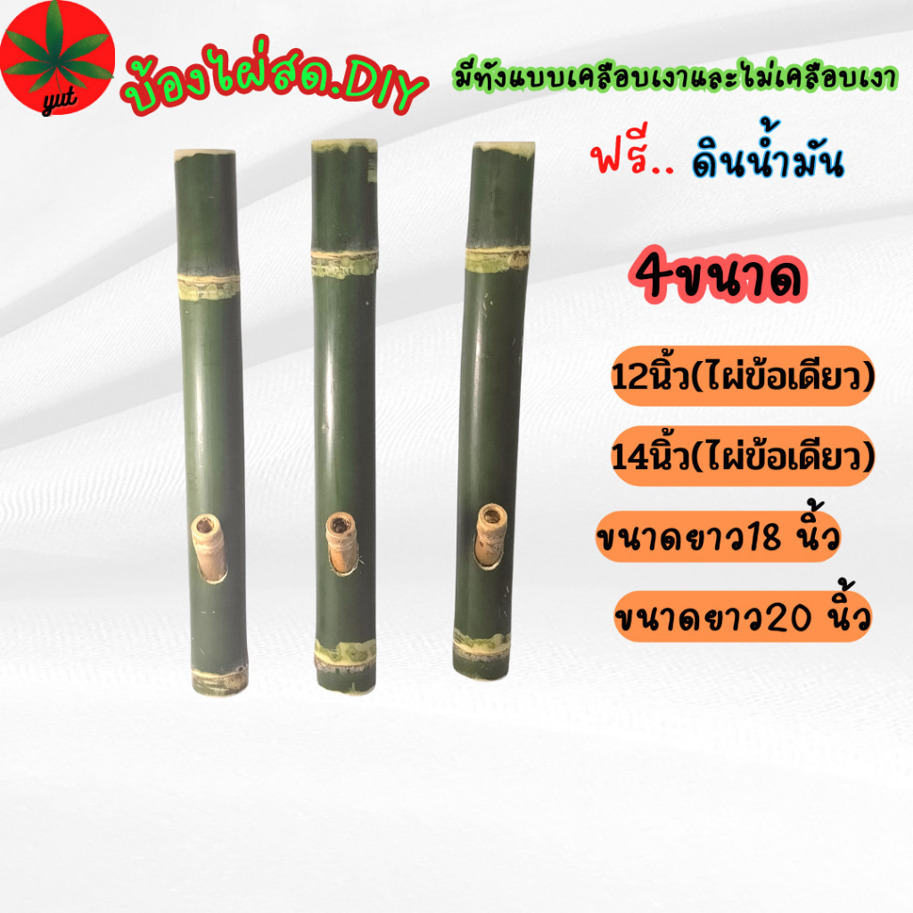 บ้องไผ่สดพร้อมใช้ มีหลายขนาด