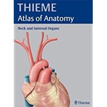 อวัยวะคอและภายใน (Thieme Atlas Of Anatomy)