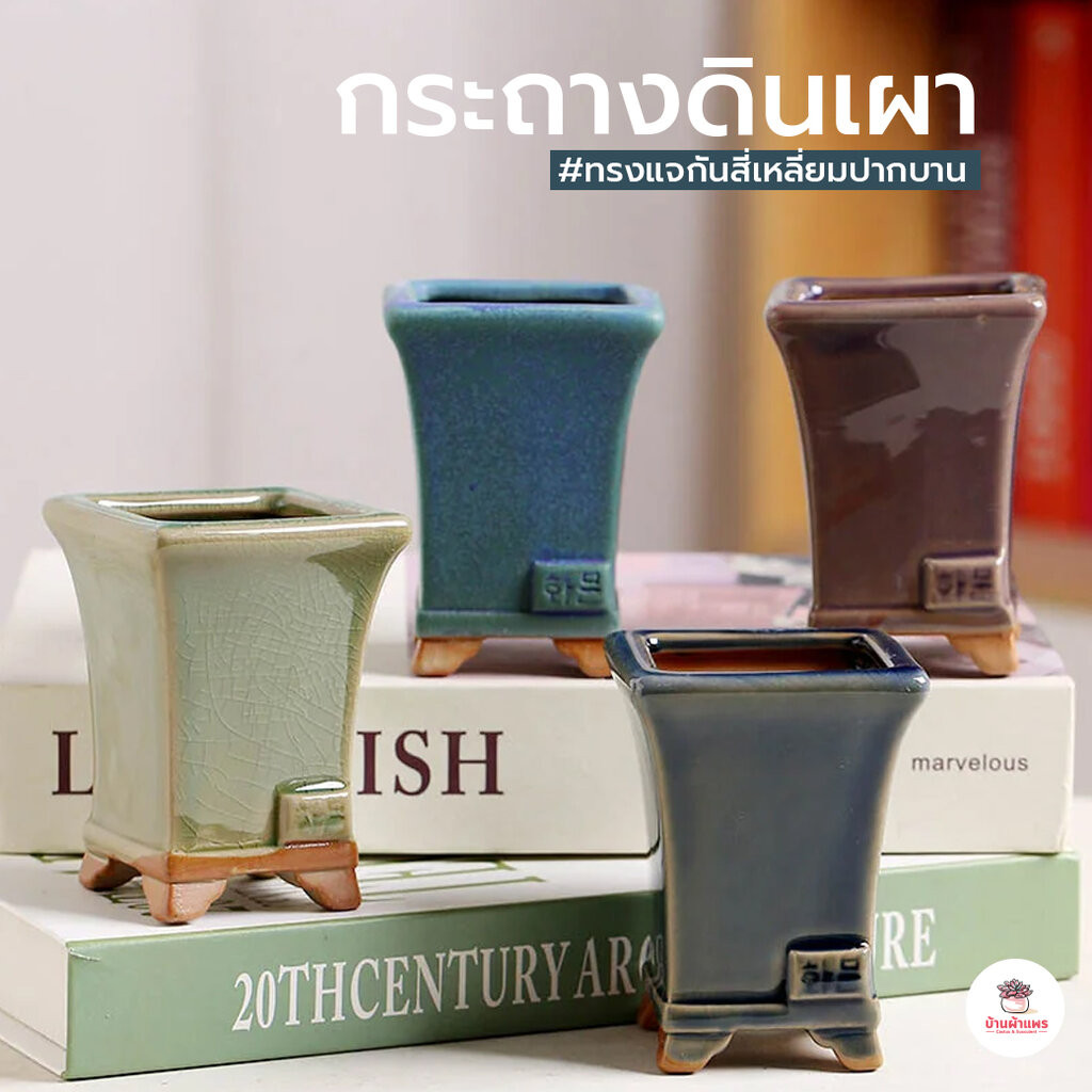 กระถางดินเผาทรงแจกันสี่เหลี่ยมปากบาน กระถางต้นไม้ ไม้อวบน้ำ กุหลาบหิน cactus&succulentหลากหลายสายพันธุ์