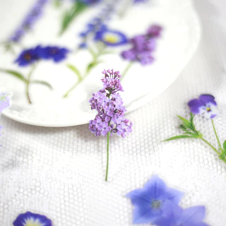 Journamm 40 ชิ้น/แพ็ค PET ดอกไม้สติกเกอร์พืช Daisy Decor เครื่องเขียนสําหรับ Junk Journal DIY Scrapbooking ป้ายสติกเกอร์
