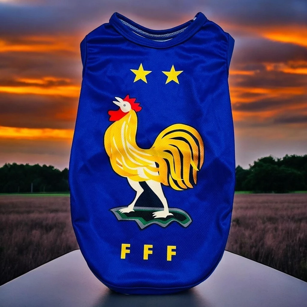 เสื้อแขนกุดลายทีมฟุตบอลยูโร น้องหมาน้องแมว ขนาดรอบอก 10 นิ้วถึง 42 นิ้ว สินค้าพร้อมส่ง thumbnail 6