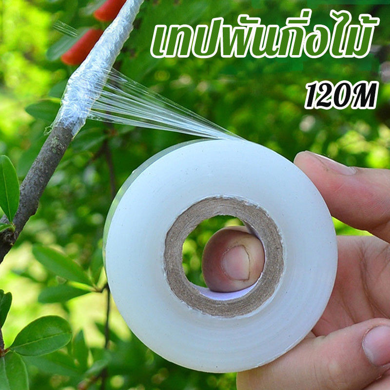 COD120m เทปพันกิ่งไม้ เทปพันกิ่งทาบ แลปพลาสติก อุปกรณ์ตอนกิ่ง เทปพันกิ่งเสียบยอด