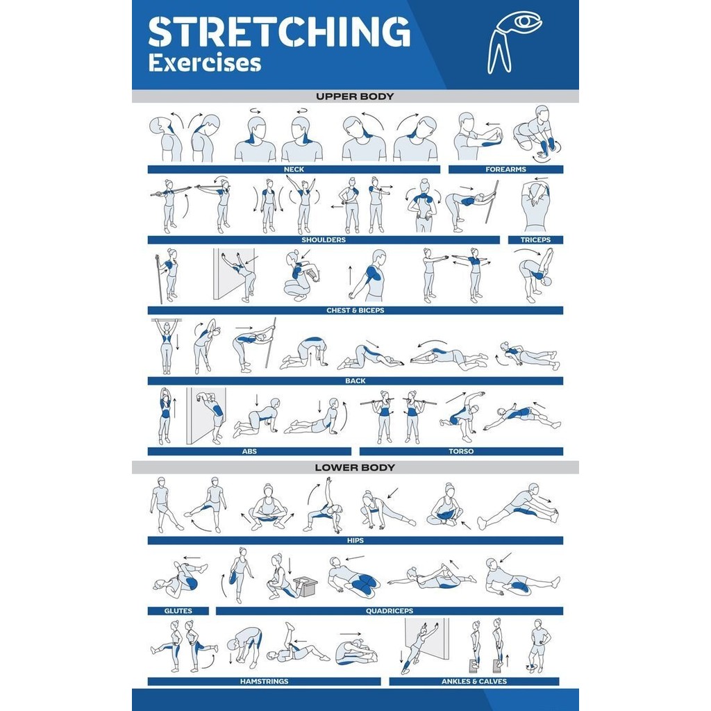 การออกกําลังกายยืดโปสเตอร์สําหรับ Home Full Body Workout Core Abs ขา Glutes Upper Body Training Prog