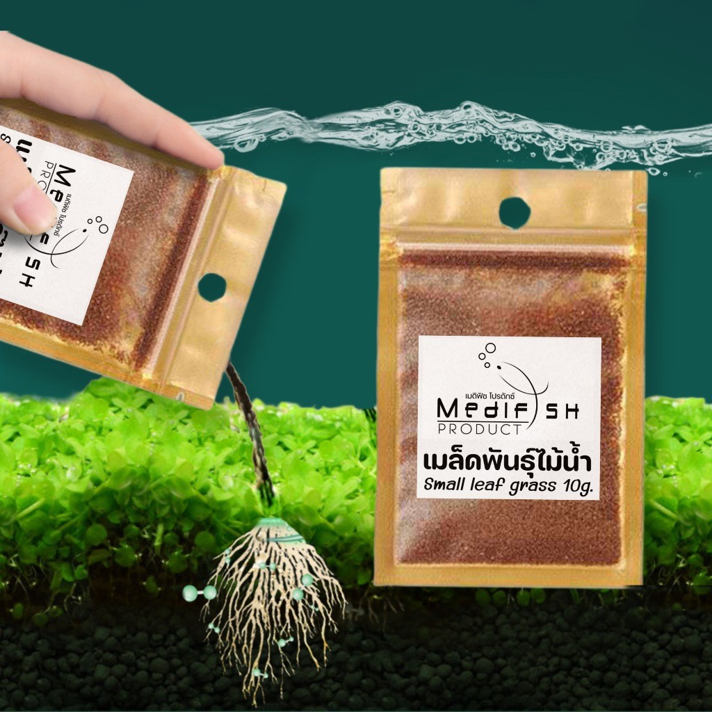 เมล็ดพันธ์ไม้น้ำ Small Leaf Grass by Medifish ปลูกง่าย โตไว ปริมาณ10g