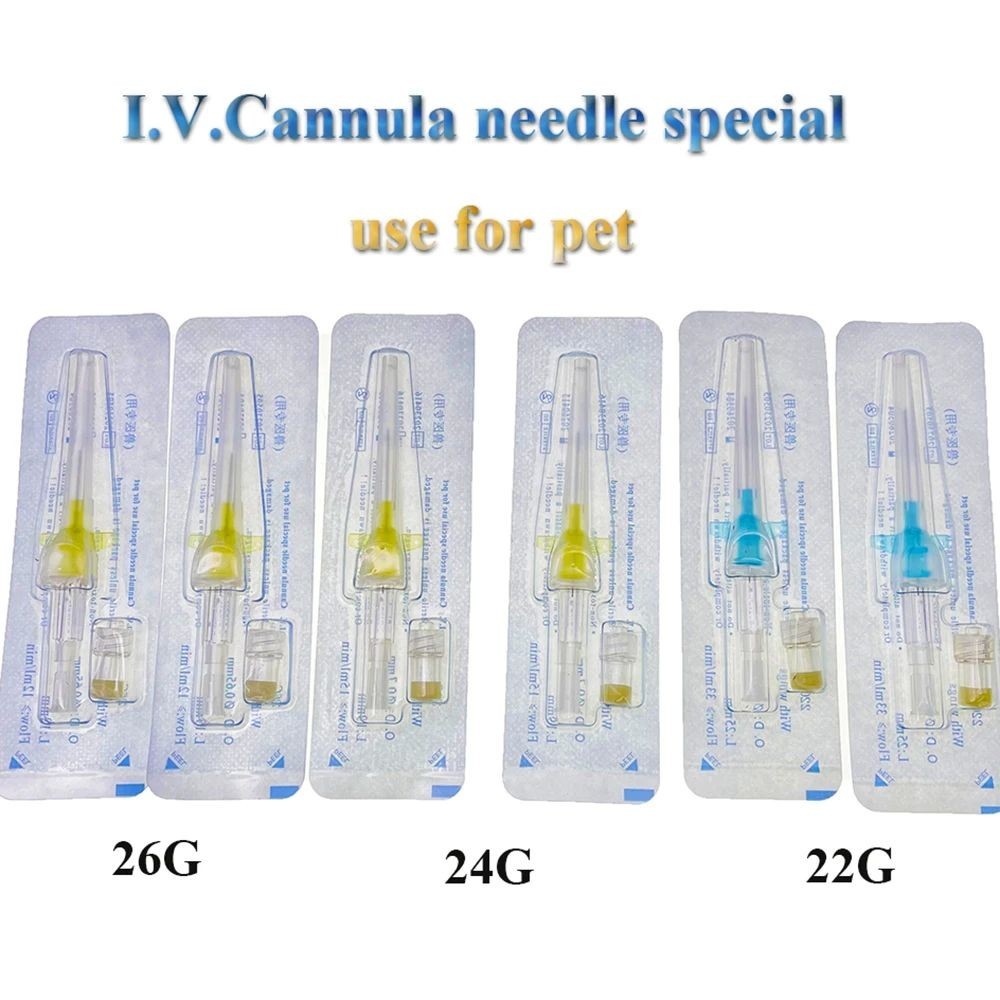 Pet Animals IV Cannulas With Heparin Cap Introcan Winged Place An Catheter Over Intravenous Indwelli