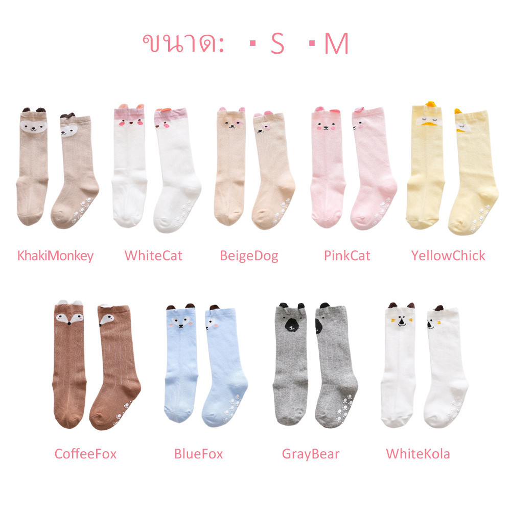 รูปภาพ 8