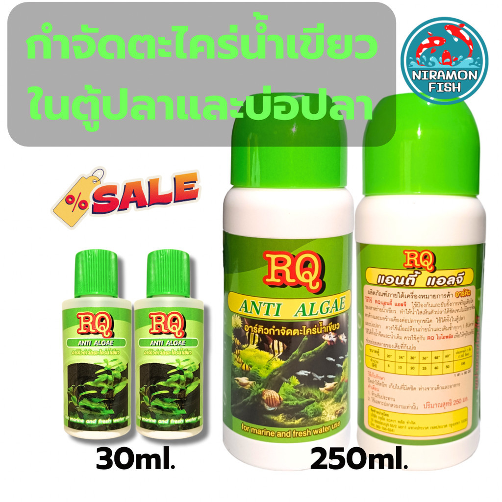 กำจัดตะไคร่น้ำเขียว ตู้ปลาและบ่อปลา RQ ANTI ALGAE แก้ปัญหาน้ำสีเขียว