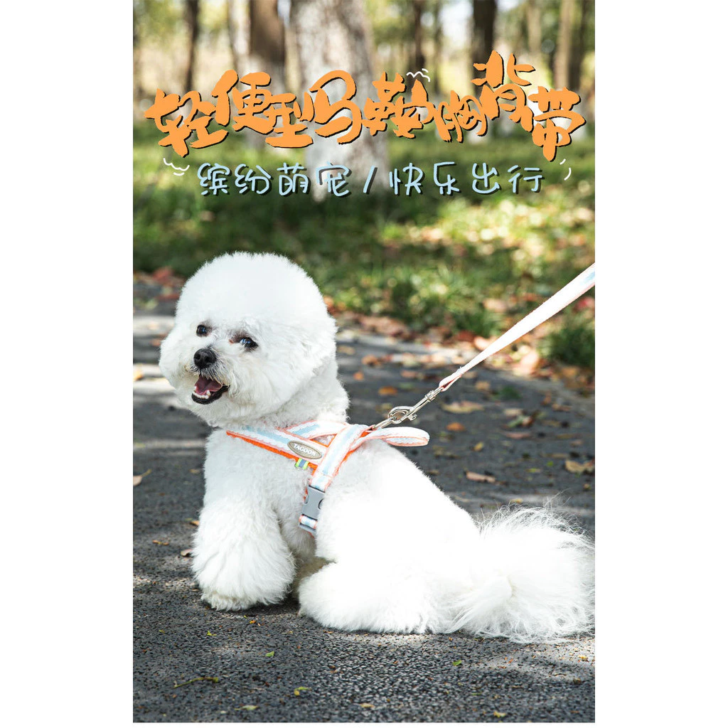 เชือกจูงสุนัขสำหรับสุนัขขนาดเล็ก thumbnail 10
