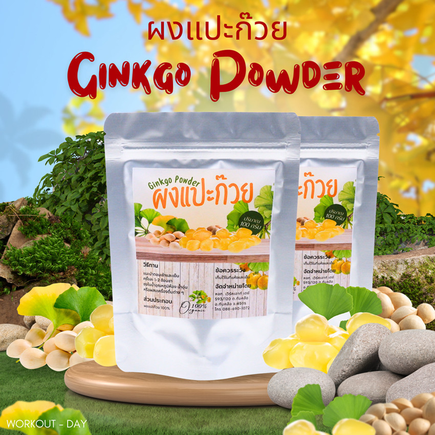 ผงแปะก๊วย เมล็ดแปะก๊วย Ginkgo seeds ขนาด 100 กรัม