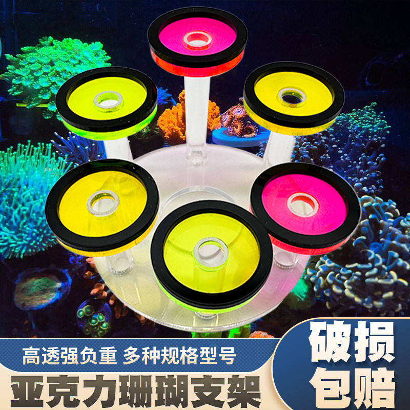 เรืองแสงอะคริลิคปะการัง Frag Rack Coral Rack Coral Frag Bracket Coral Tray Coral Holder พร้อมถ้วยดูด