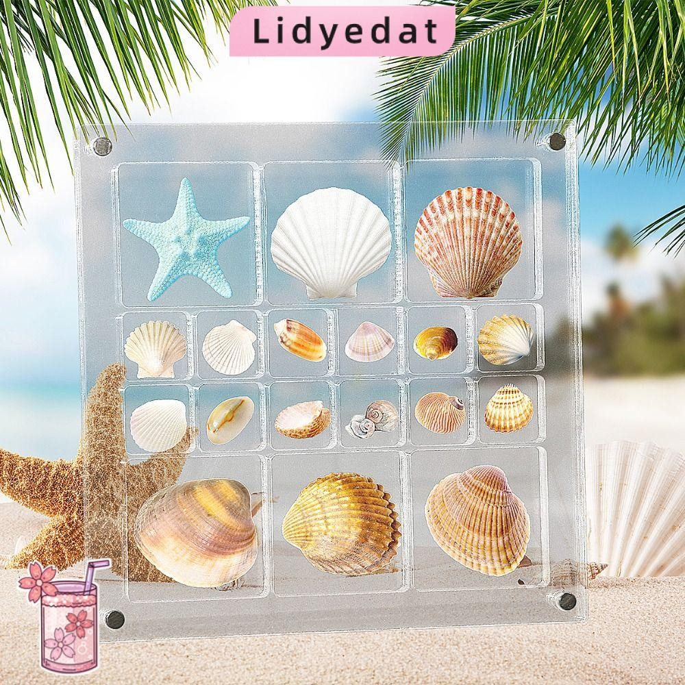 Lidyedat165 กล่องแสดงเปลือกหอยแม่เหล็ก พลาสติกใส ความจุใหญ่ พร้อมช่องใส่ของสําหรับงานฝีมือขนาดเล็ก