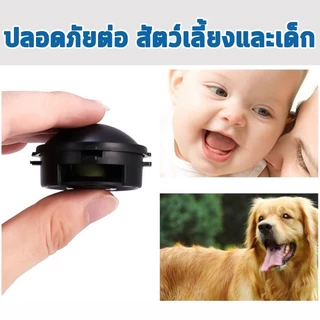 ยากำจัดแมลงสาบ 1.5 กรัม x 18 ชิ้น กำจัดแมลงสาบ บ้านแมลงสาบ ที่ดักแมลงสาบ Black cap บล็อคแคปซูลฆ่าแมลงสา A185
