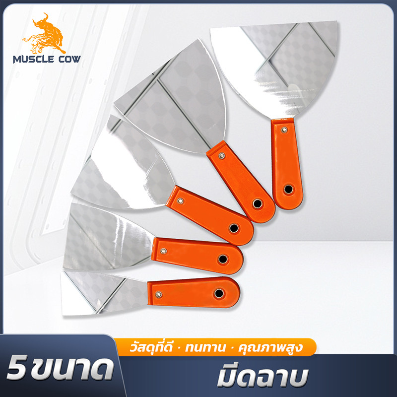 MUSCLE COW เกรียงโป๊ว สแตนเลส 2-6 นิ้ว (สำหรับโป๊วและขูดสี)