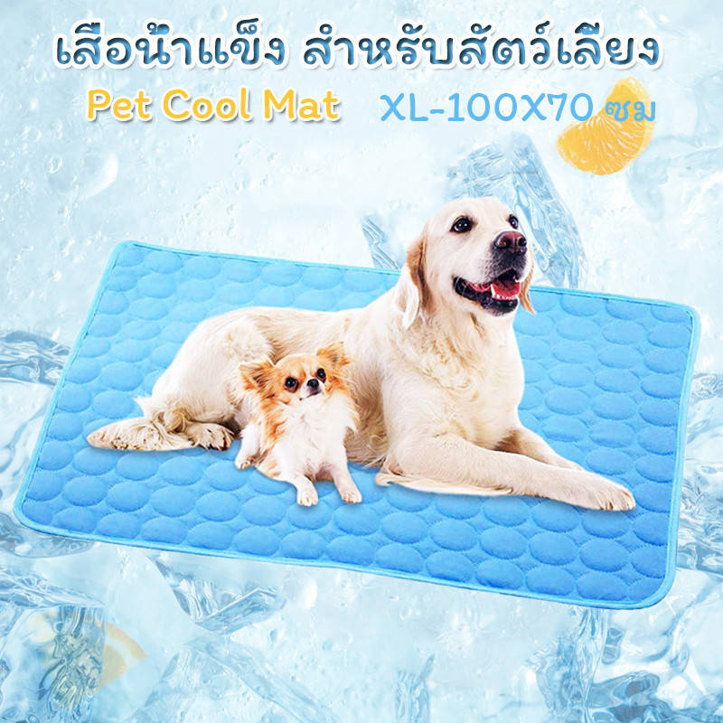 เสื่อน้ําแข็ง สําหรับสัตว์เลี้ยง เบาะนอนเย็น สบาย Pet Cool Mat เหมาะกับฤดูร้อน