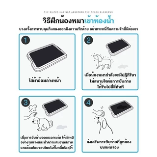 YTL แผ่นรองฉี่ แผ่นรองฉี่สุนัข และ แมว ช่วยฝึกขับถ่ายระงับกลิ่น 100ชิ้น บรรจุภัณฑ์ถุงสี หนาขึ้น