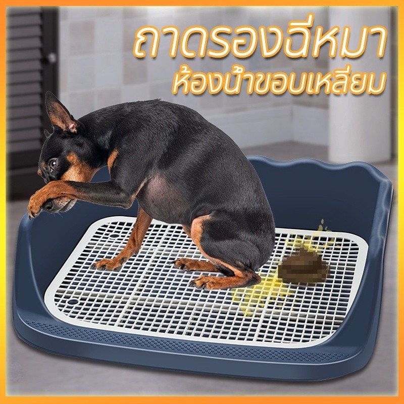 ห้องน้ำหมาขอบสี่เหลี่ยม ห้องน้ำสุนัข ถาดฉี่สุนัข มีเสาถอดได้ มีตะแกรงรองถาด ทำความสะอาดง่าย ถาดรองฉี่สุนัข