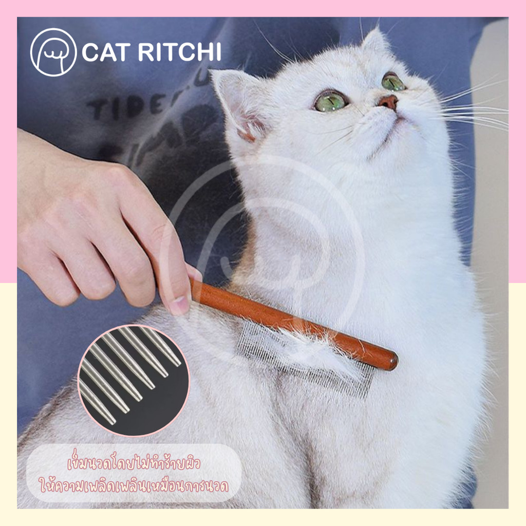 [🚚พร้อมส่ง] หวีแปรงขนสัตว์เลี้ยง ด้ามไม้คุณภาพสูง ขจัดขนพันกัน เก็บขนไม่ฟุ้งกระจาย อ่อนโยนต่อผิวสัตว์เลี้ยง - รูปที่ 2
