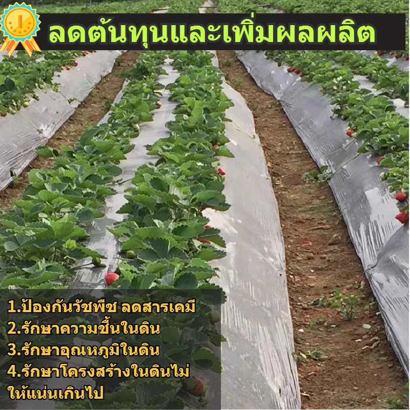 【Tool Markete】พลาสติกคลุมดิน 0.8.0ม.x400หลา(360ม) พลาสติกคลุมแปลง ผ้ายางคลุมดิน ผ้ายางคลุมวัชพืช กันวัชพืช ปลูกผัก