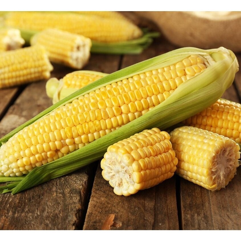[10แถม1คละได้]เมล็ดพันธุ์ ข้าวโพดหวาน เมล็ดข้าวโพด ซุปเปอร์สวีท ข้าวโพดเหลือง 50 เมล็ด มีคู่มือปลูก