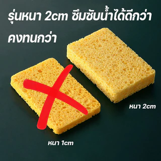 ฟองน้ำล้างจานคุณภาพสูง ทำจากเยื่อไม้ หนา 2 ซม. ไม่สะสมเชื้อโรค ทำความสะอาดง่าย