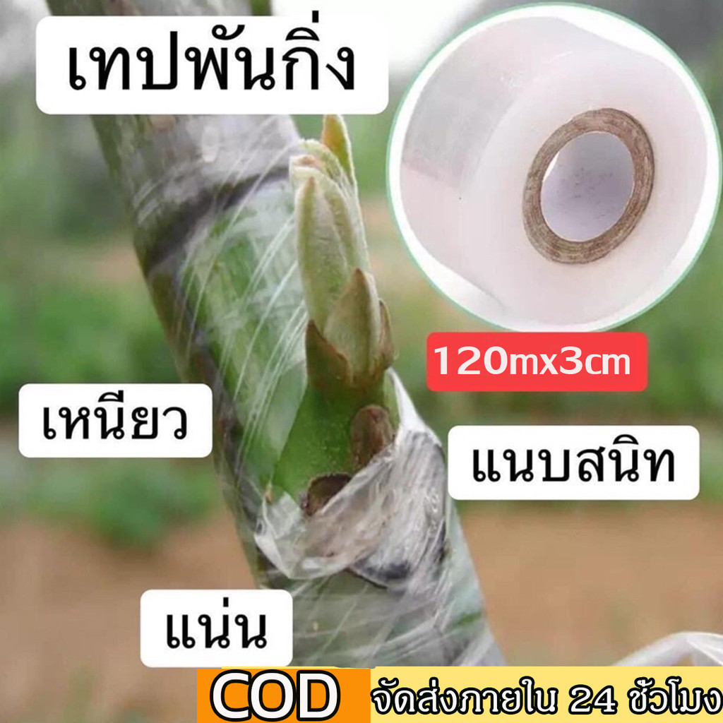 120m เทปพันกิ่งไม้ เทปพันกิ่งทาบ แลปพลาสติก อุปกรณ์ตอนกิ่ง เทปพันกิ่งเสียบยอด ผ้าเทปพันกิ่ง