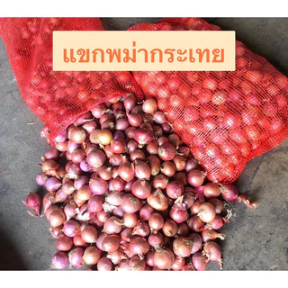 หอมแขกพม่า ยกกระสอบ น้ำหนัก6-8kg.