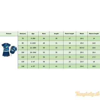 ชุดว่ายน้ำเด็กชายแขนสั้นลายฉลามและโลมา เสื้อ + กางเกงขาสั้น + หมวก