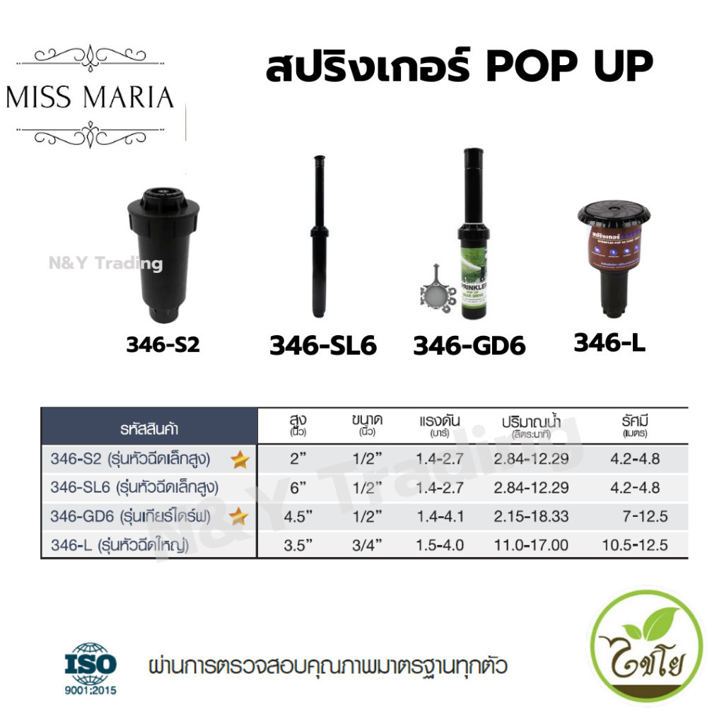 สปริงเกอร์ Pop Up ตราไชโย