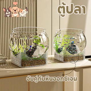 ตู้ปลา ตู้ปลาทอง วัสดุ PET โหลพลาสติก โปร่งใส ถังประดับสํานักงาน ความต้านทานการตก สำหรับเลี้ยงปลา ปลูกพืชน้ำ