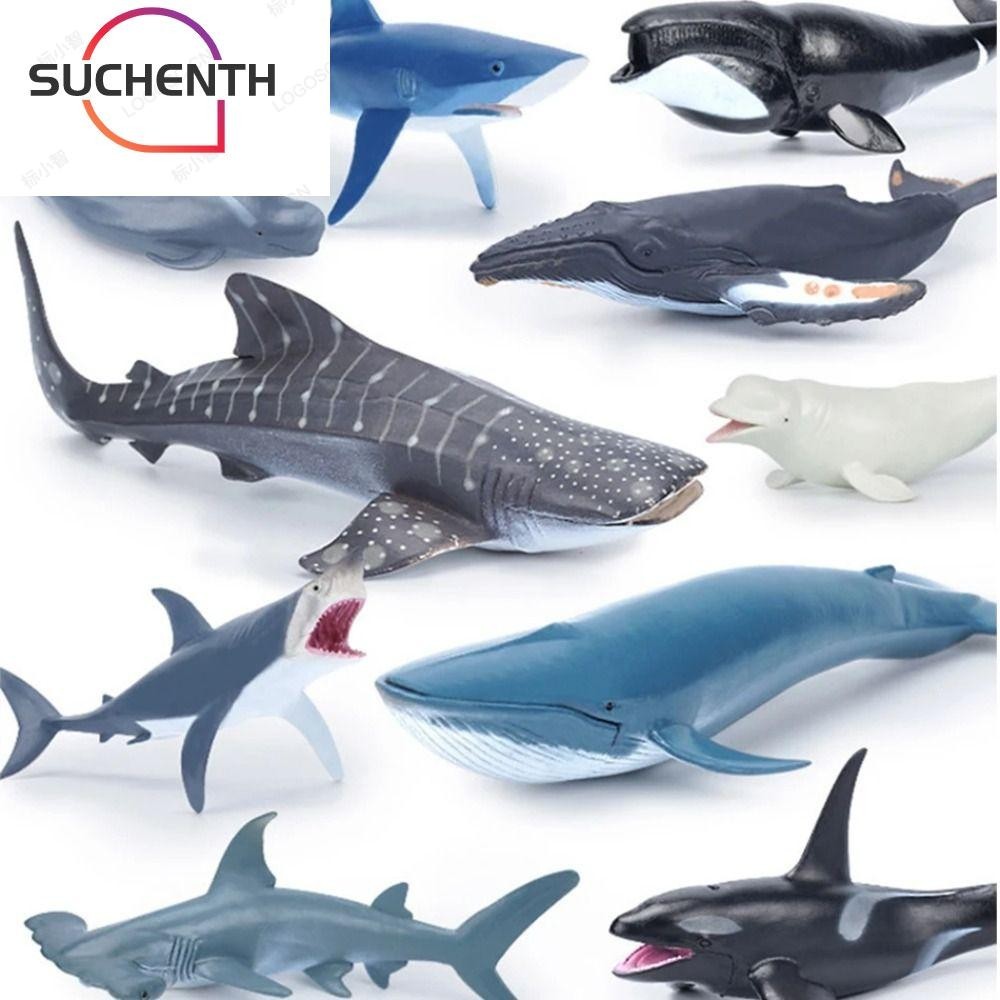 Suchenth โมเดลฟิกเกอร์ PVC รูปสัตว์ทะเล ปลาวาฬ ปลาโลมา หัวค้อน ปลาฉลาม มหาสมุทร