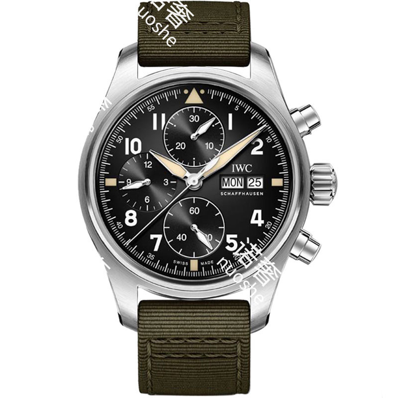 Iwc IWC Pilot Series Stainless Steel Automatic Mechanical Men 's Watch IW387901