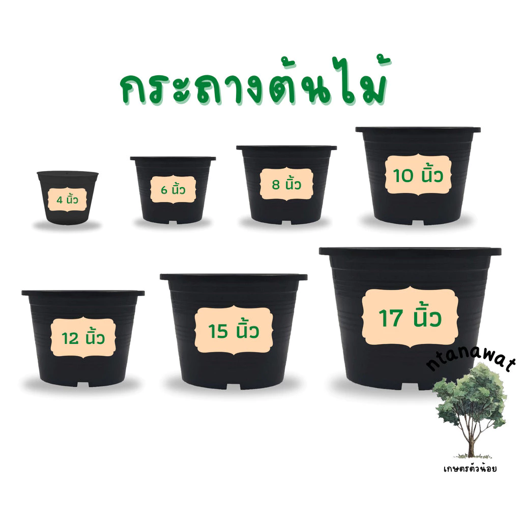 กระถางต้นไม้ กระถางพลาสติก กระถาง 4 นิ้ว 6 นิ้ว 8 นิ้ว 10 นิ้ว 12 นิ้ว