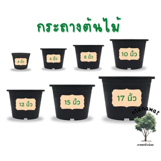 กระถางต้นไม้ กระถางพลาสติก กระถาง 4 นิ้ว 6 นิ้ว 8 นิ้ว 10 นิ้ว 12 นิ้ว