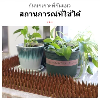 ไล่นก หนามไล่นก อุปกรณ์ไล่นก กันนกเกาะ อุปกรณ์ไล่นกทำรัง ทนทาน ปลอดสารพิษ หนามไล่แมว ปลอดภัยที่ไล่แมว ที่กันแมว