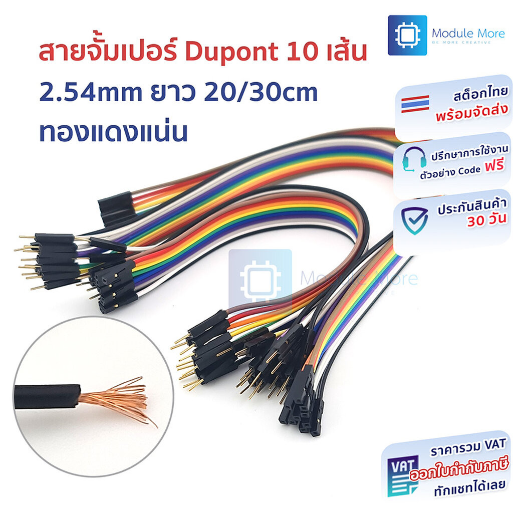 สายจั้มเปอร์ 10 เส้น 2.54mm ยาว 20/30cm ทองแดงแน่น [ผู้-ผุ้/ผู้-เมีย/เมีย-เมีย] 10P Jumper