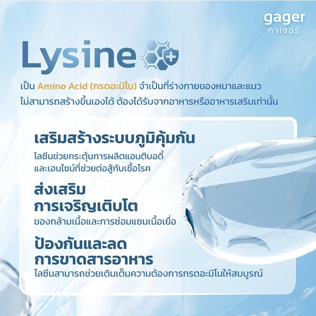 ใหม่!! Gager กาเจอร์ ผงโรยข้าวเบต้ากลูแคนผสมไลซีนและซินไบโอติก 3in1 สำหรับสัตว์เลี้ยง