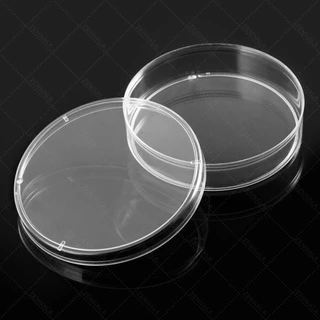จานเพาะเชื้อ พลาสติก 10 คู่(จาน+ฝาครอบ) Disposable Plastic Petri Dishes มีให้เลือก 5 ขนาด