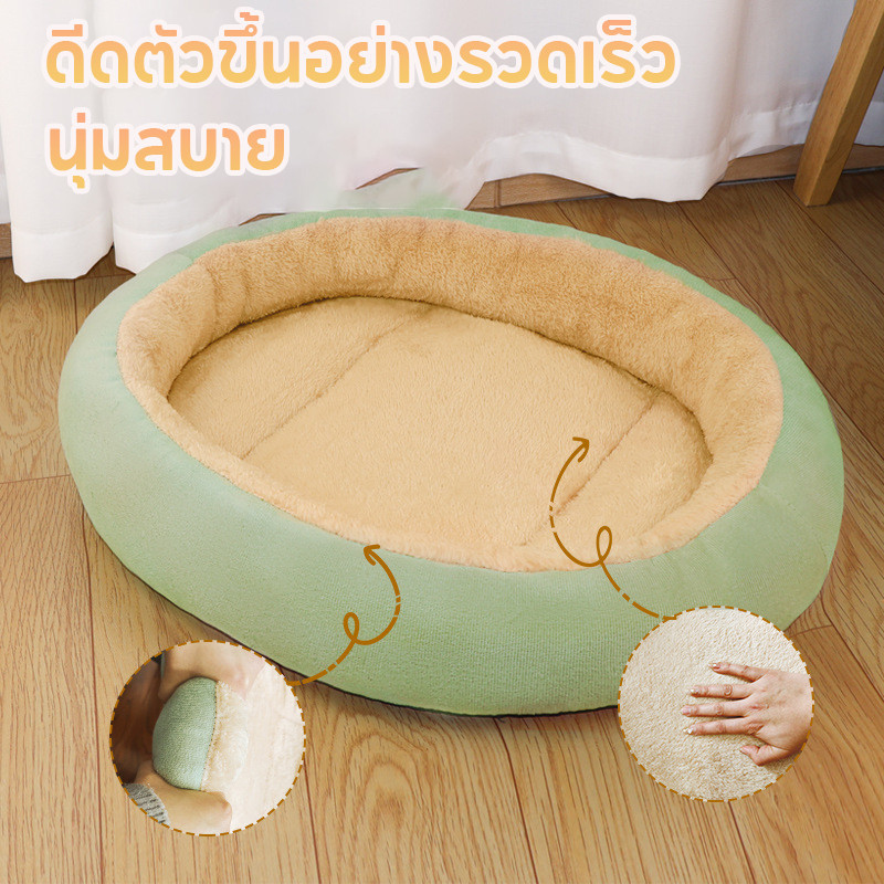 รูปภาพ 2