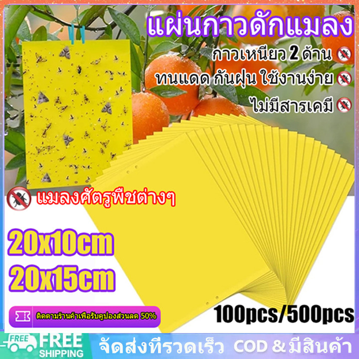 แผ่นกาวดักแมลง (มีกาวในตัว) กระดาษจับแมลง แพ็คละ 20/50/100 แผ่น ดักแมลงศัตรูพืช กาวดักแมลงวันทอง