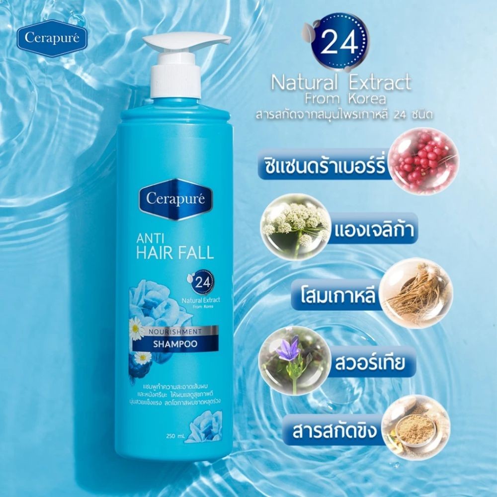 Cerapure Anti Hair Fall Nourishment Shampoo แชมพูสมุนไพรธรรมชาติ ลดผมร่วง ลดผมมัน (250ml.) ราคา ถูกที่สุด ดีลบีเคเค แกลเลอรีภาพที่ 3