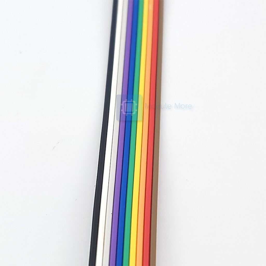 สายจั้มเปอร์ 10 เส้น 2.54mm ยาว 20/30cm ทองแดงแน่น [ผู้-ผุ้/ผู้-เมีย/เมีย-เมีย] 10P Jumper - รูปที่ 2