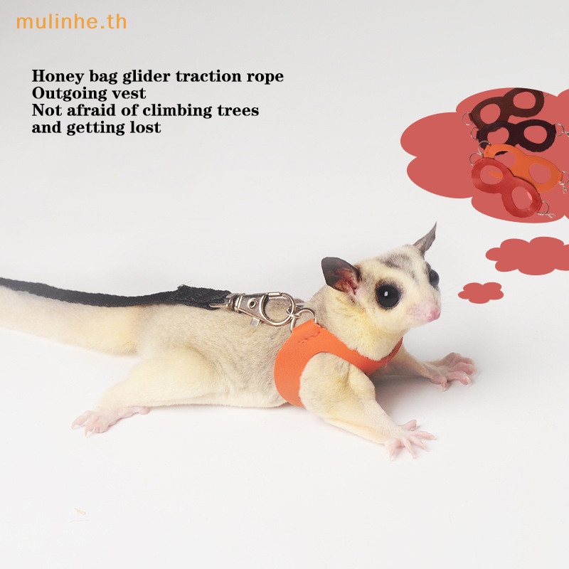 Mulinhe เชือกจูงสัตว์เลี้ยง หนูแฮมสเตอร์ กระรอก ขนาดเล็ก กันลม กันหาย 4 ชิ้น