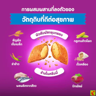 วิสกัส อาหารแมวชนิดเม็ด สูตรควบคุมก้อนขน สำหรับแมวโต รสไก่และปลาทูน่า 1.1 กก.